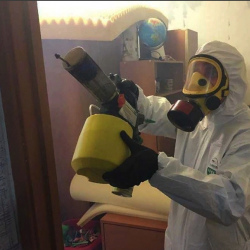 Уничтожение клопов в квартире. Балахна
